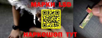стафф Кулебаки