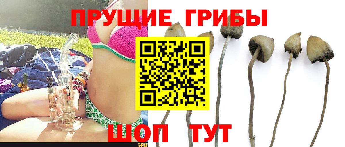 Псилоцибиновые грибы GOLDEN TEACHER  Псилоцибиновые грибы Psilocybe  Ишимбай  Вход с VPN 